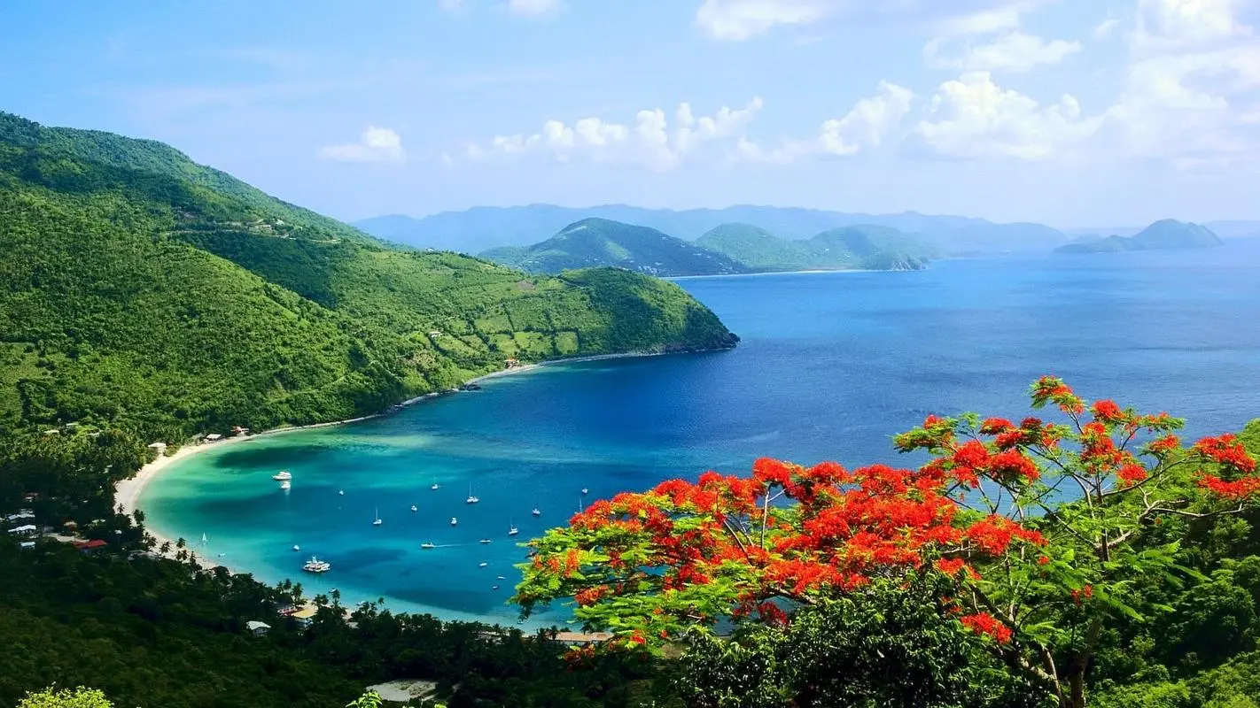 科技高标准科技